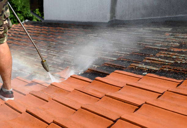Best Affordable Pressure Washing  in Leitchfield, KY