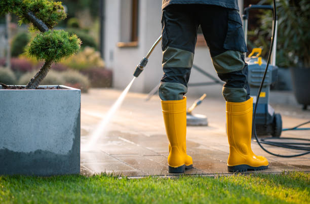 Best House Pressure Washing  in Leitchfield, KY